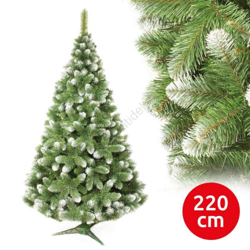 Vánoční stromek borovice v přírodním vzhledu o výšce 220 cm